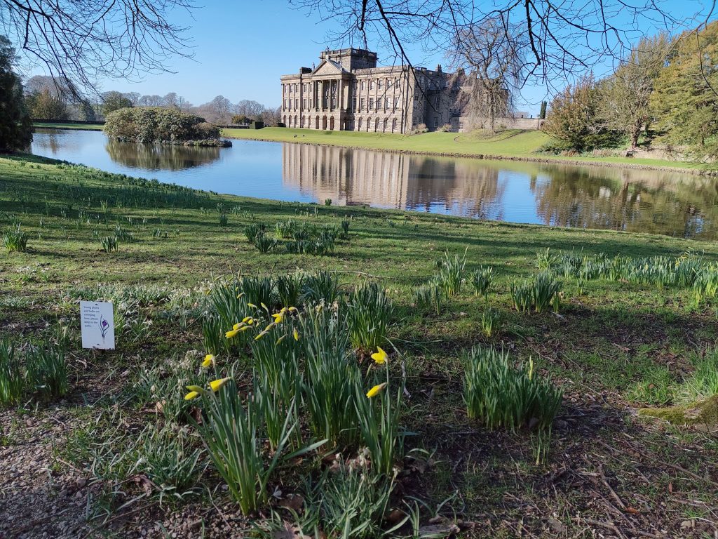 Mansion in Lyme Park with lake and daffodils